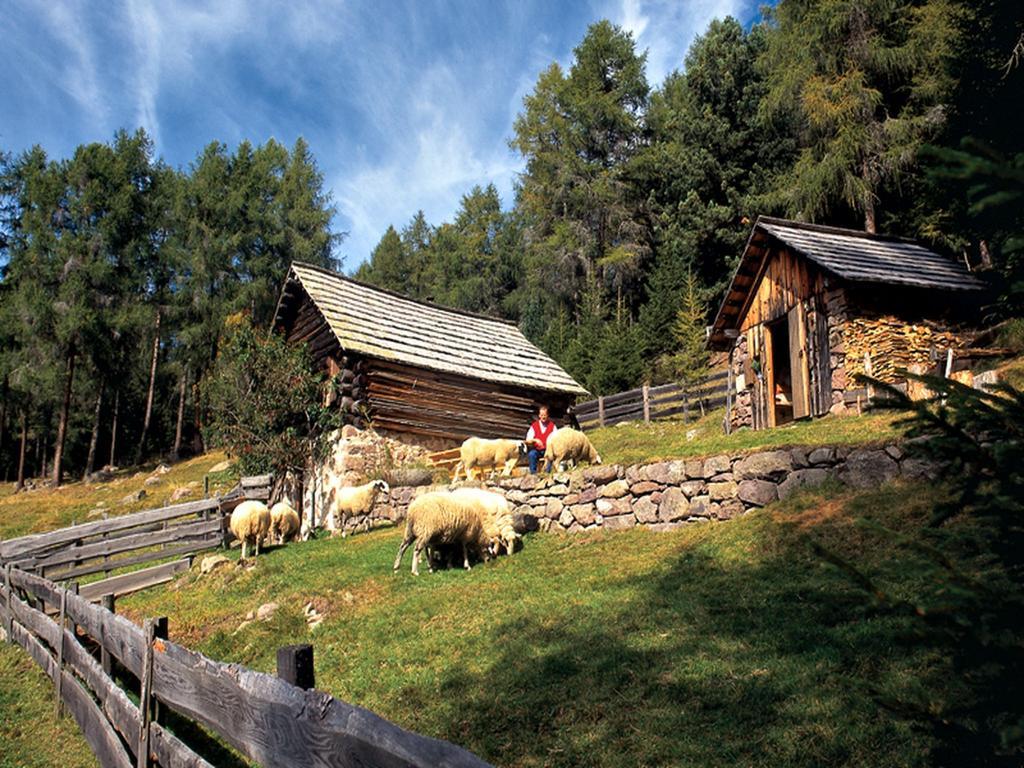 Hotel Linde Collalbo Bagian luar foto